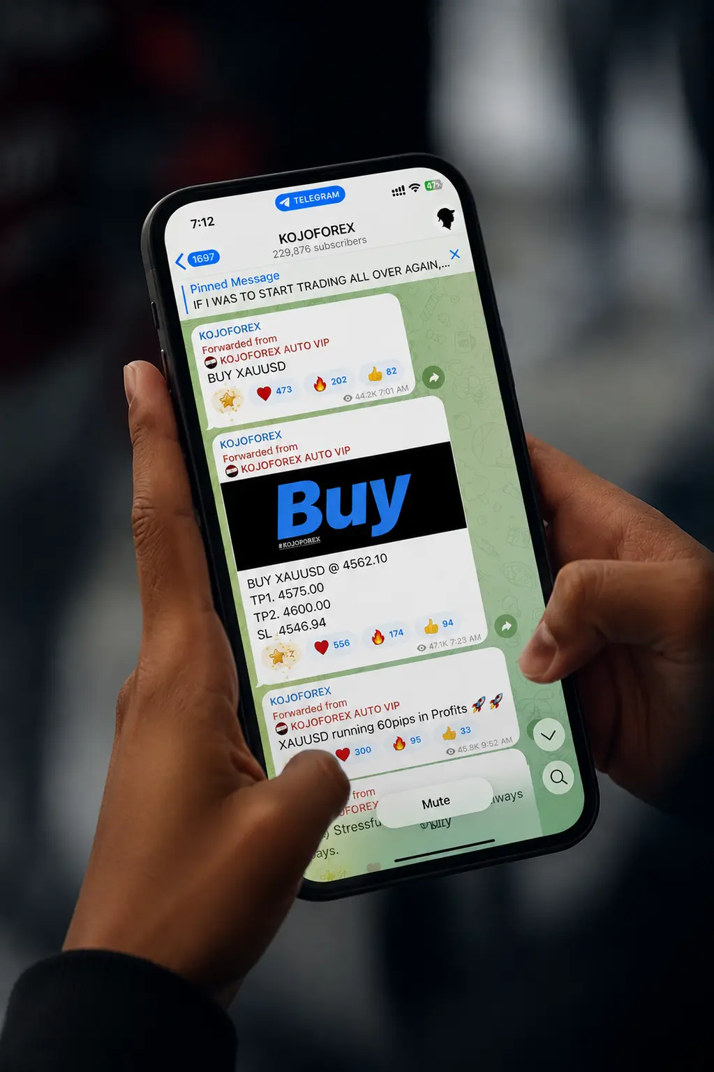 Thousands of active traders collaborating in the KojoForex Telegram signal community